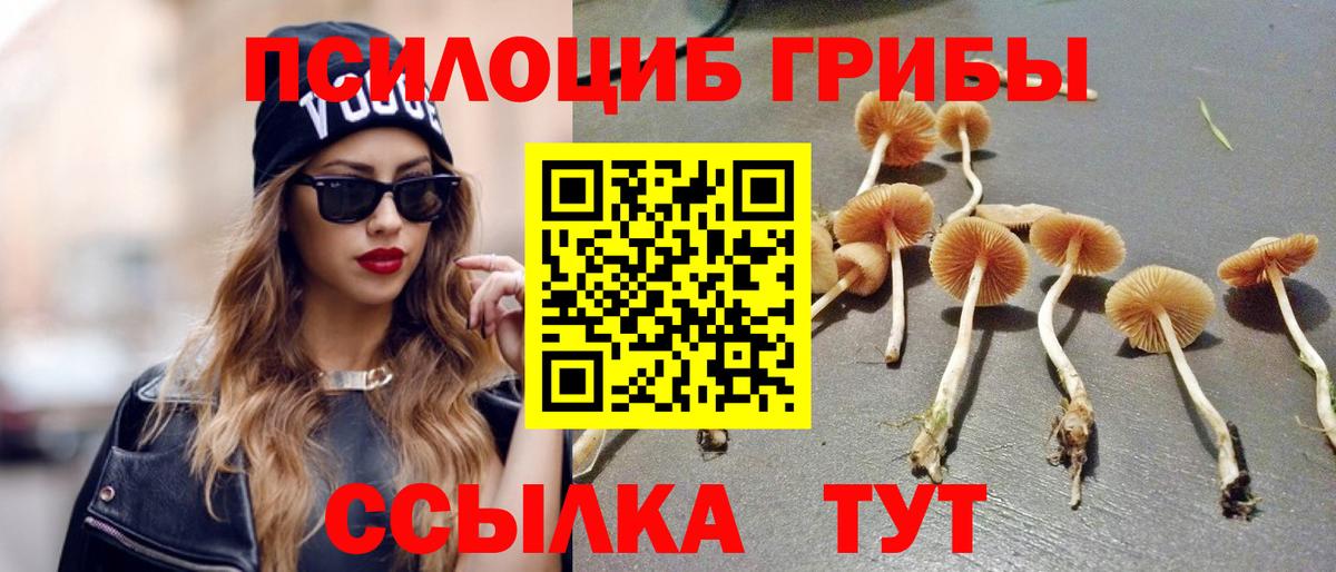 Псилоцибиновые грибы ЛСД  как найти закладки  Сегежа  Псилоцибиновые грибы прущие грибы  Вход с VPN 