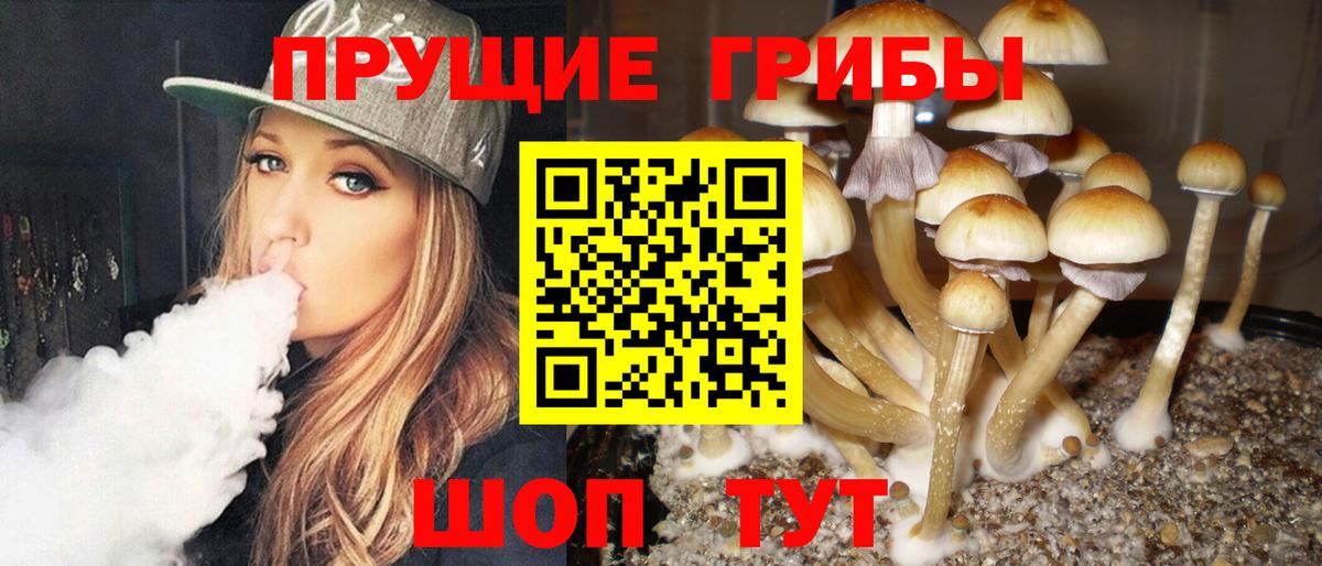 Галлюциногенные грибы ЛСД Сегежа